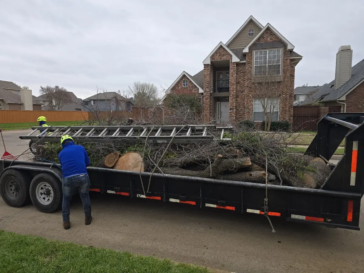 Expert Tree Fertilization with proper safety equipment in Rockville
